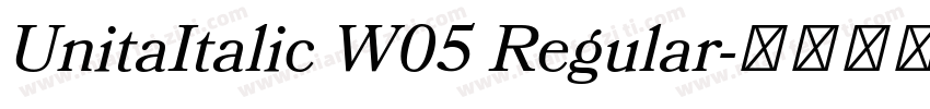 UnitaItalic W05 Regular字体转换